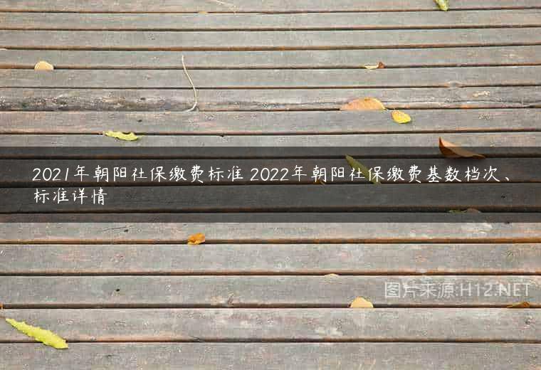2021年朝阳社保缴费标准 2022年朝阳社保缴费基数档次、标准详情
