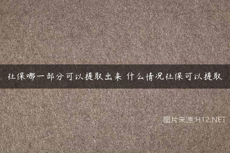 社保哪一部分可以提取出来 什么情况社保可以提取
