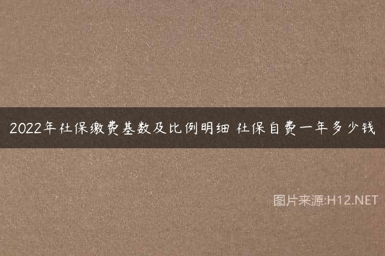 2022年社保缴费基数及比例明细 社保自费一年多少钱