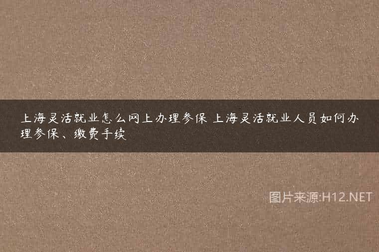 上海灵活就业怎么网上办理参保 上海灵活就业人员如何办理参保、缴费手续