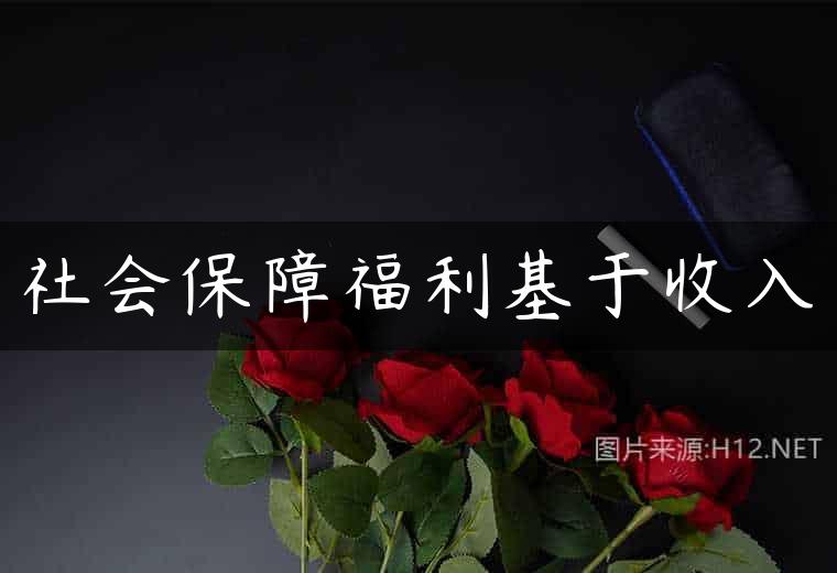社会保障福利基于收入