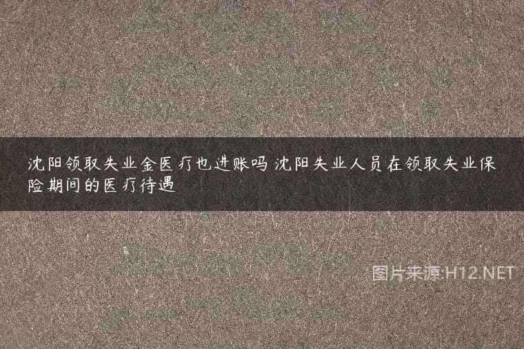沈阳领取失业金医疗也进账吗 沈阳失业人员在领取失业保险期间的医疗待遇