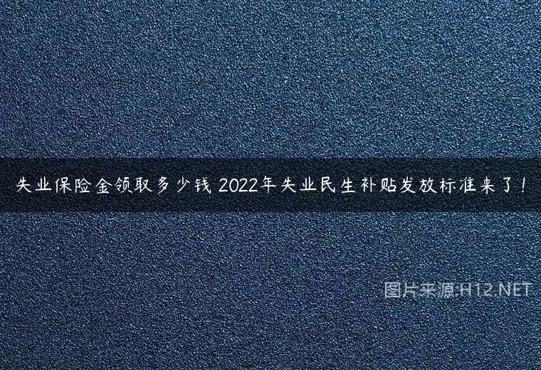 失业保险金领取多少钱 2022年失业民生补贴发放标准来了！