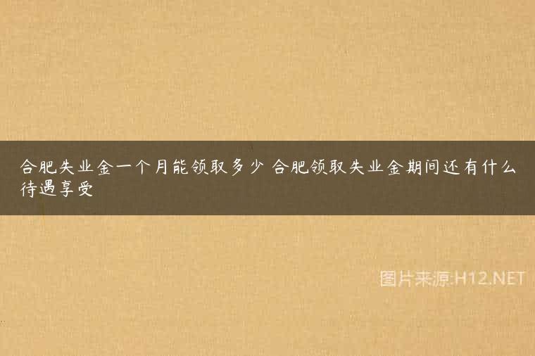 合肥失业金一个月能领取多少 合肥领取失业金期间还有什么待遇享受