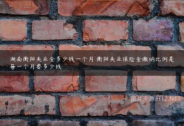 湖南衡阳失业金多少钱一个月 衡阳失业保险金缴纳比例是每一个月要多少钱