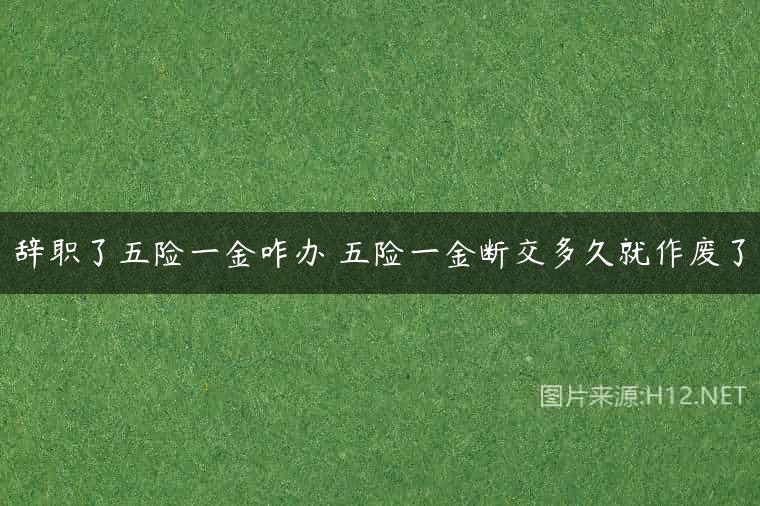 辞职了五险一金咋办 五险一金断交多久就作废了