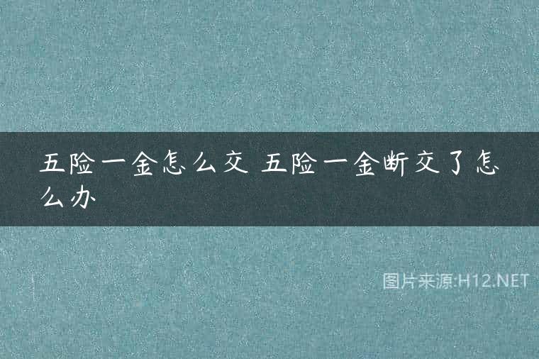 五险一金怎么交 五险一金断交了怎么办