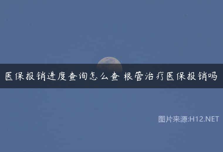 医保报销进度查询怎么查 根管治疗医保报销吗