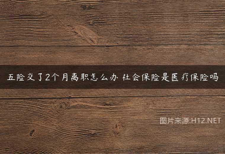 五险交了2个月离职怎么办 社会保险是医疗保险吗