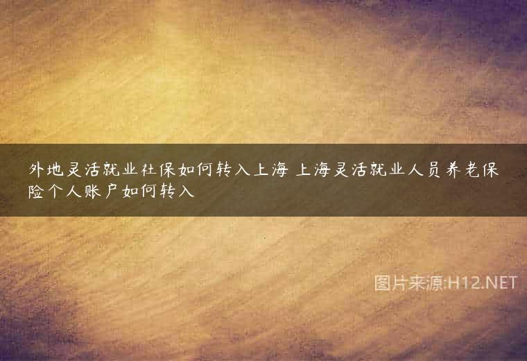 外地灵活就业社保如何转入上海 上海灵活就业人员养老保险个人账户如何转入