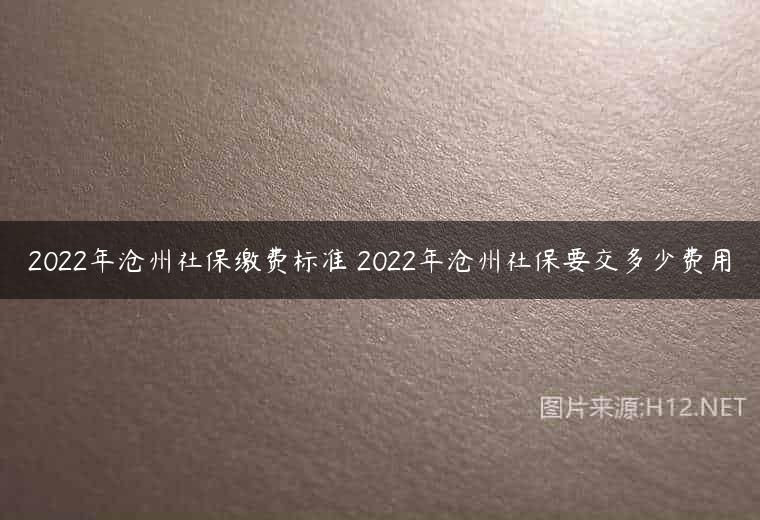 2022年沧州社保缴费标准 2022年沧州社保要交多少费用