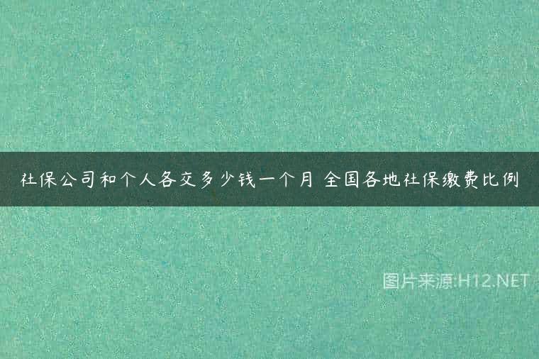 社保公司和个人各交多少钱一个月 全国各地社保缴费比例