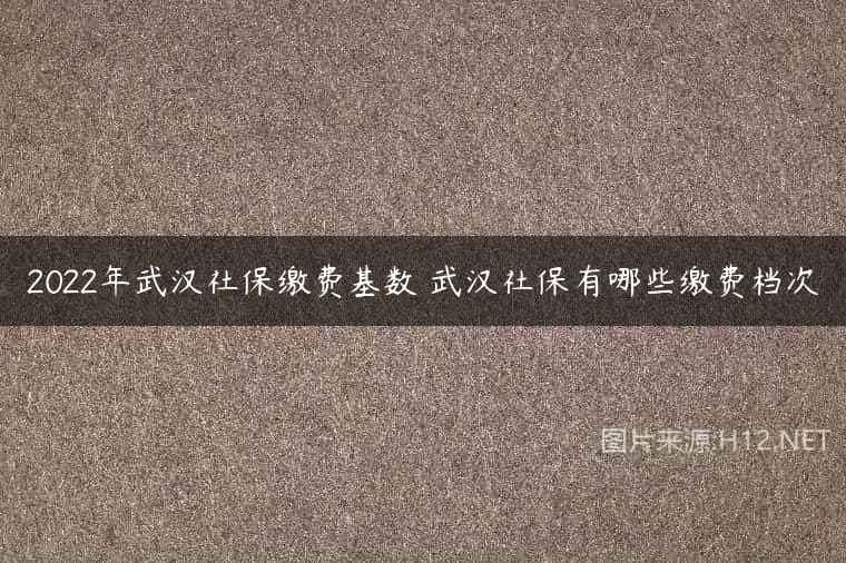 2022年武汉社保缴费基数 武汉社保有哪些缴费档次