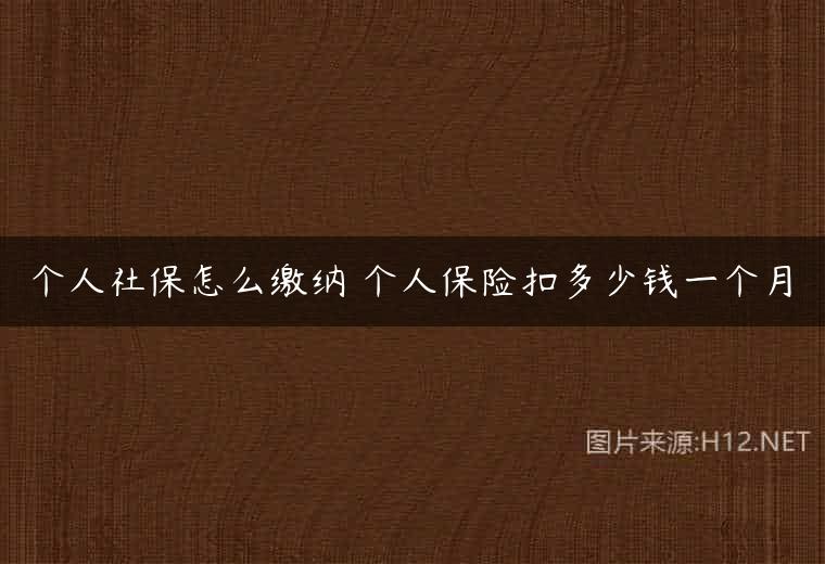 个人社保怎么缴纳 个人保险扣多少钱一个月