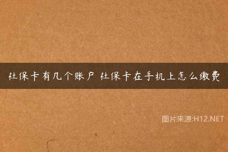 社保卡有几个账户 社保卡在手机上怎么缴费