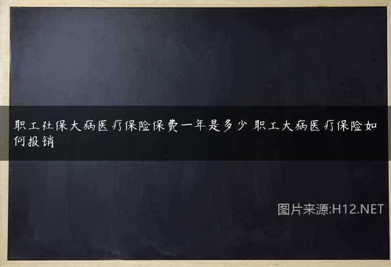 职工社保大病医疗保险保费一年是多少 职工大病医疗保险如何报销