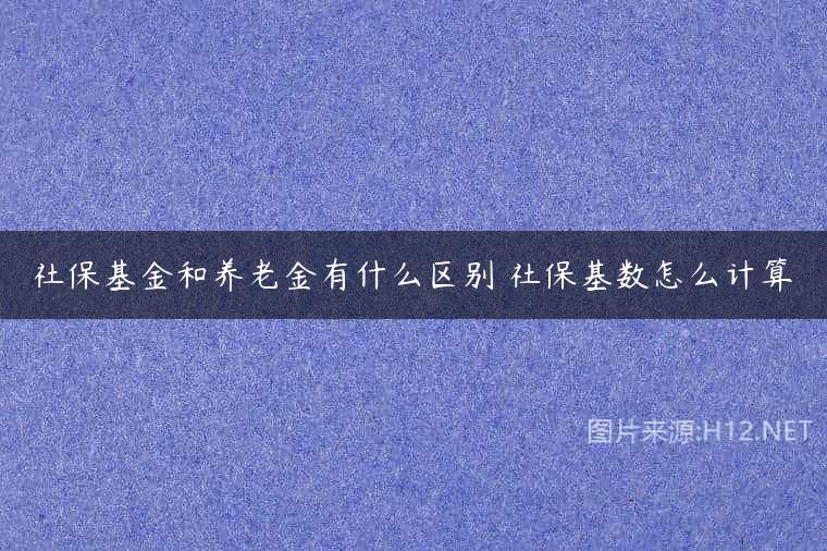社保基金和养老金有什么区别 社保基数怎么计算