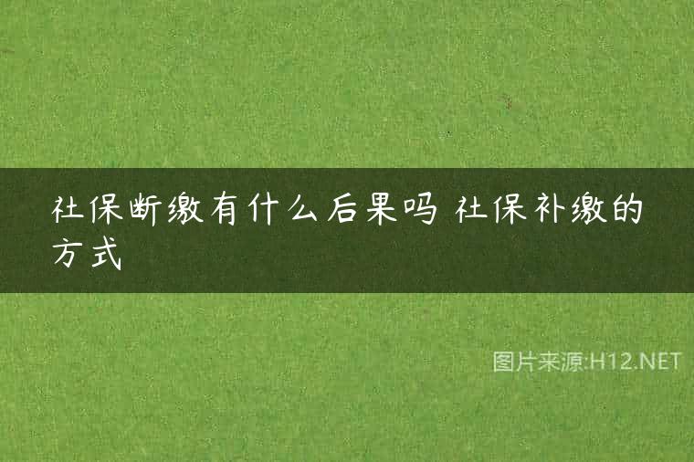 社保断缴有什么后果吗 社保补缴的方式