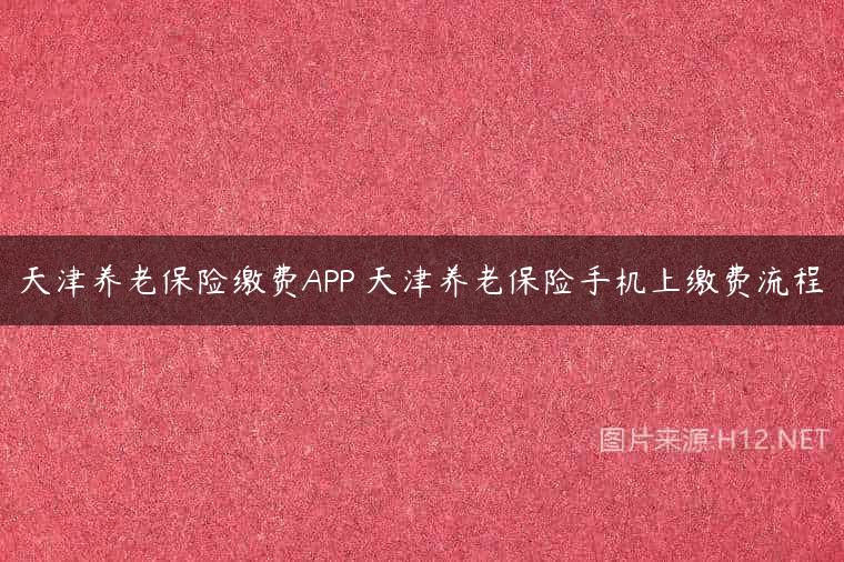 天津养老保险缴费APP 天津养老保险手机上缴费流程