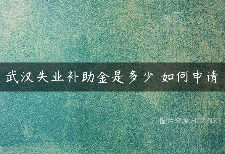 武汉失业补助金是多少 如何申请