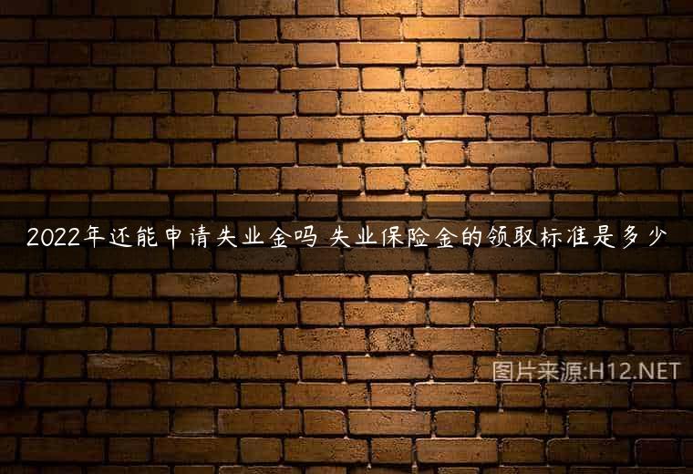 2022年还能申请失业金吗 失业保险金的领取标准是多少