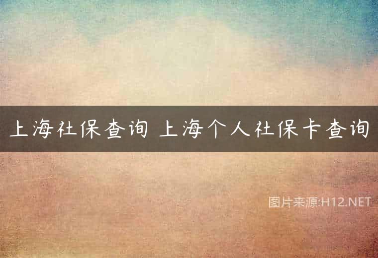 上海社保查询 上海个人社保卡查询