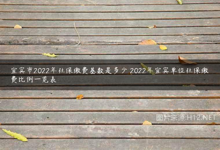 宜宾市2022年社保缴费基数是多少 2022年宜宾单位社保缴费比例一览表