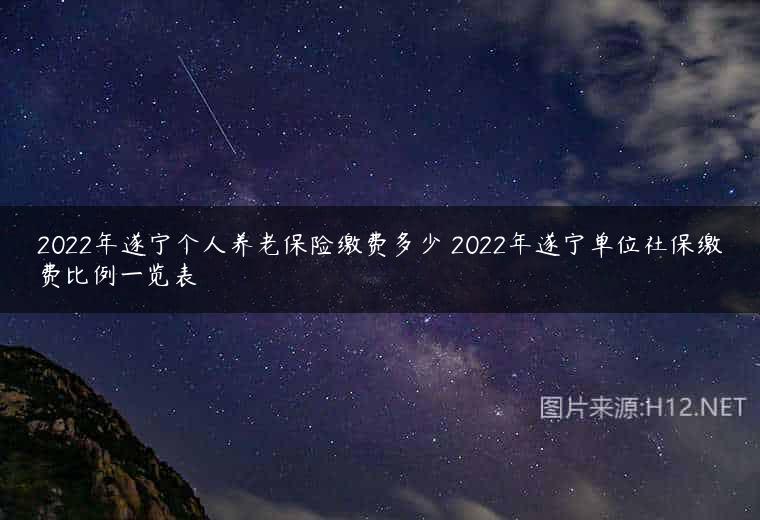 2022年遂宁个人养老保险缴费多少 2022年遂宁单位社保缴费比例一览表