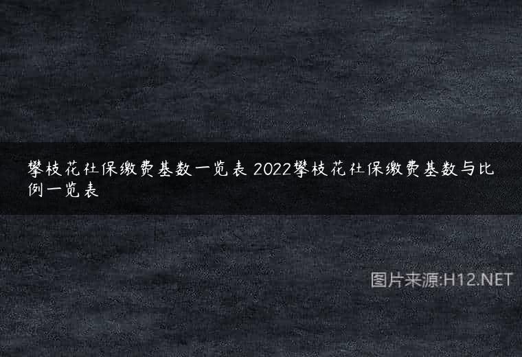 攀枝花社保缴费基数一览表 2022攀枝花社保缴费基数与比例一览表