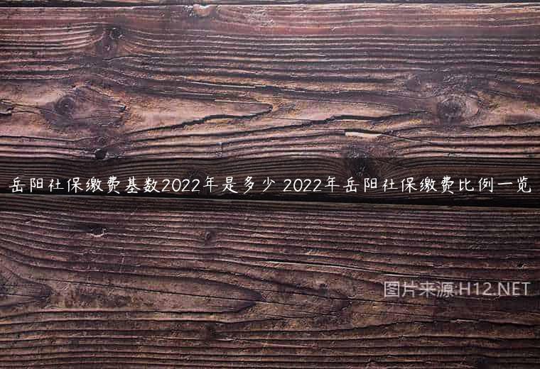 岳阳社保缴费基数2022年是多少 2022年岳阳社保缴费比例一览