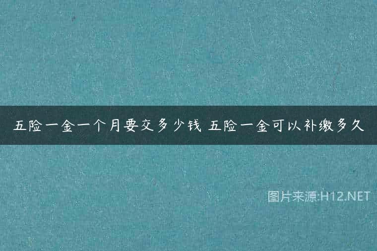 五险一金一个月要交多少钱 五险一金可以补缴多久