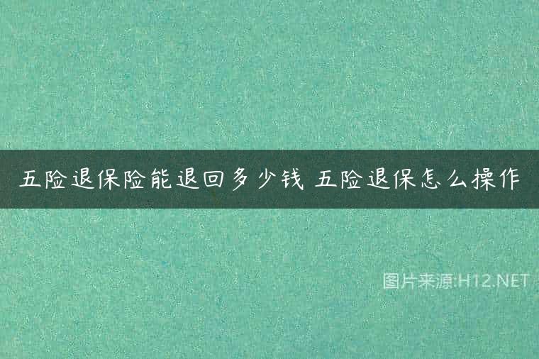 五险退保险能退回多少钱 五险退保怎么操作