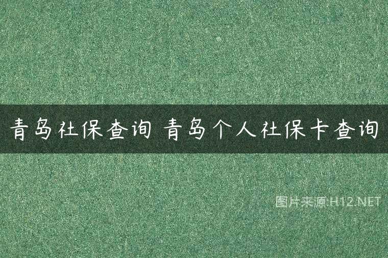 青岛社保查询 青岛个人社保卡查询