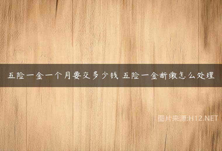 五险一金一个月要交多少钱 五险一金断缴怎么处理