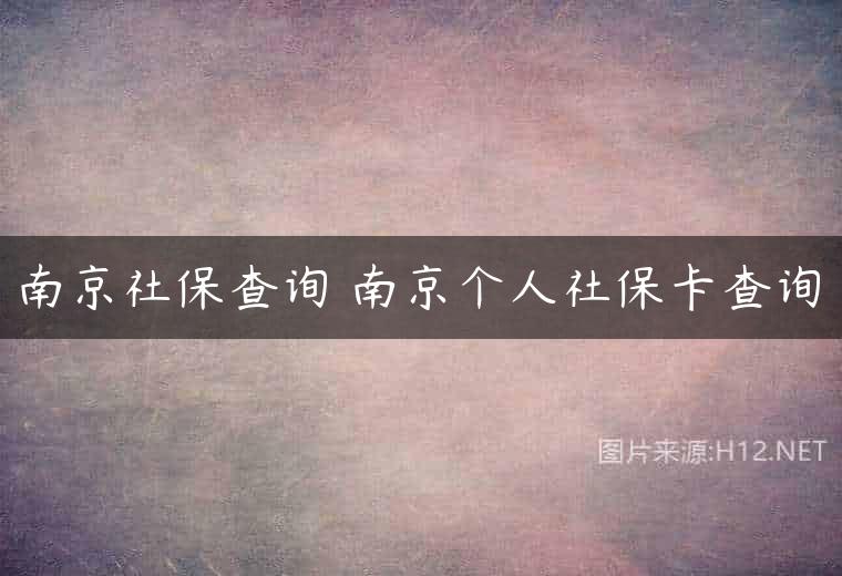 南京社保查询 南京个人社保卡查询