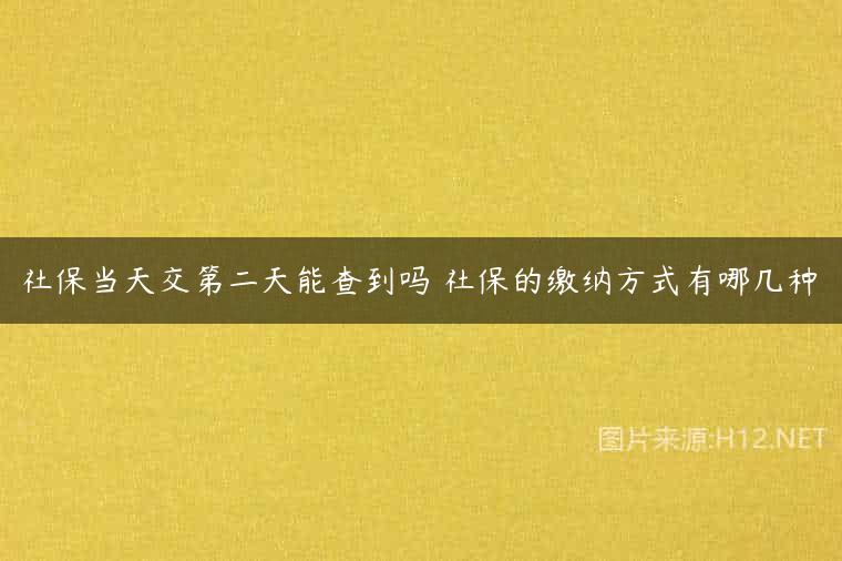 社保当天交第二天能查到吗 社保的缴纳方式有哪几种
