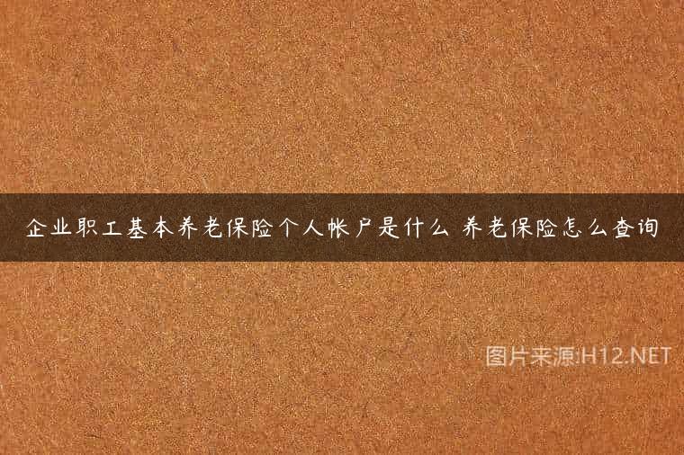 企业职工基本养老保险个人帐户是什么 养老保险怎么查询