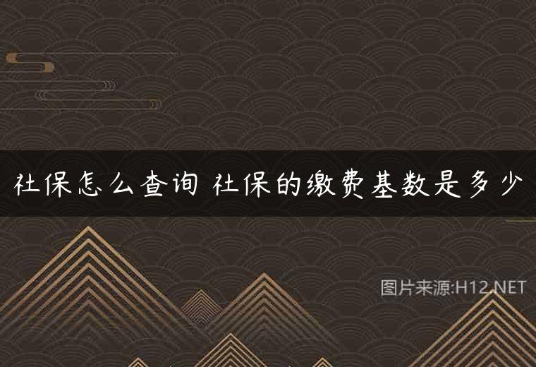 社保怎么查询 社保的缴费基数是多少