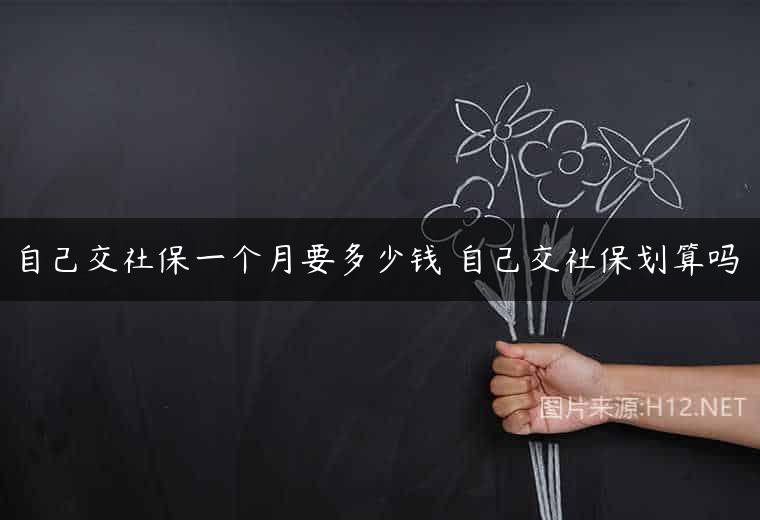 自己交社保一个月要多少钱 自己交社保划算吗
