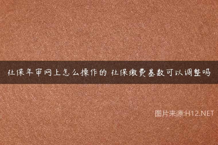 社保年审网上怎么操作的 社保缴费基数可以调整吗