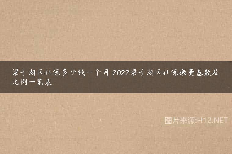 梁子湖区社保多少钱一个月 2022梁子湖区社保缴费基数及比例一览表