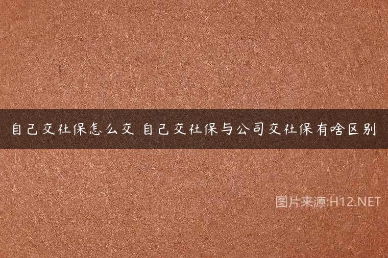 自己交社保怎么交 自己交社保与公司交社保有啥区别