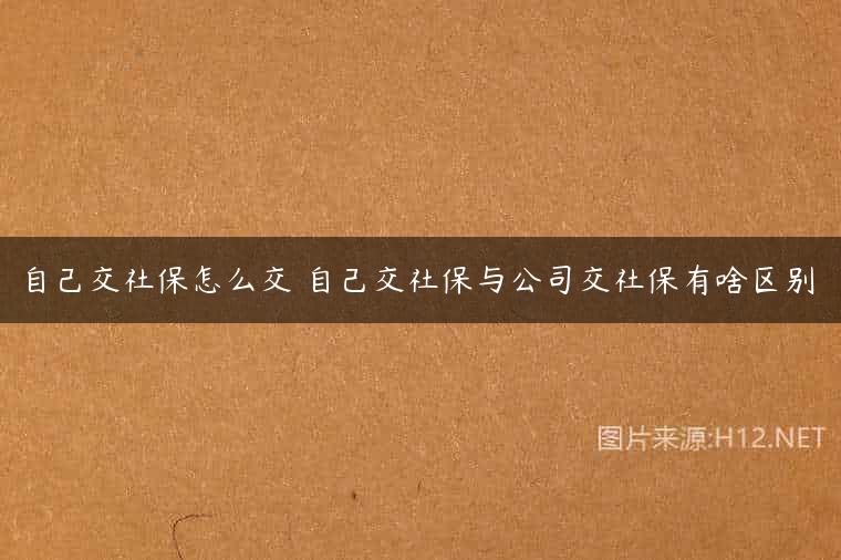 自己交社保怎么交 自己交社保与公司交社保有啥区别