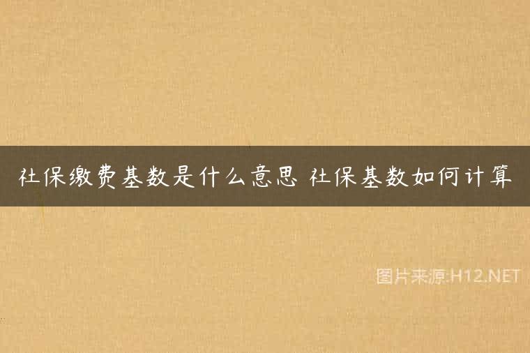 社保缴费基数是什么意思 社保基数如何计算