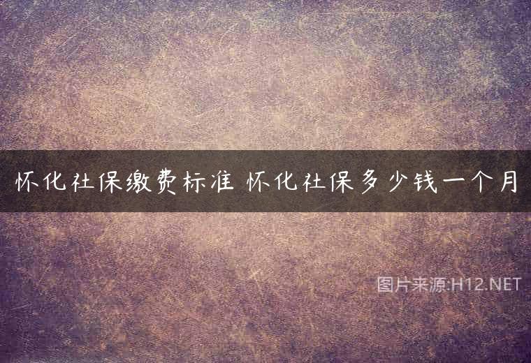 怀化社保缴费标准 怀化社保多少钱一个月