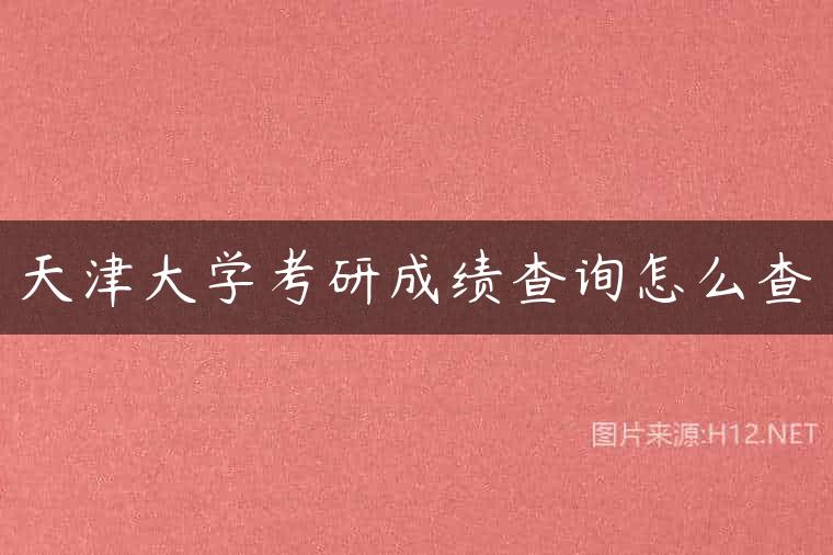 天津大学考研成绩查询怎么查