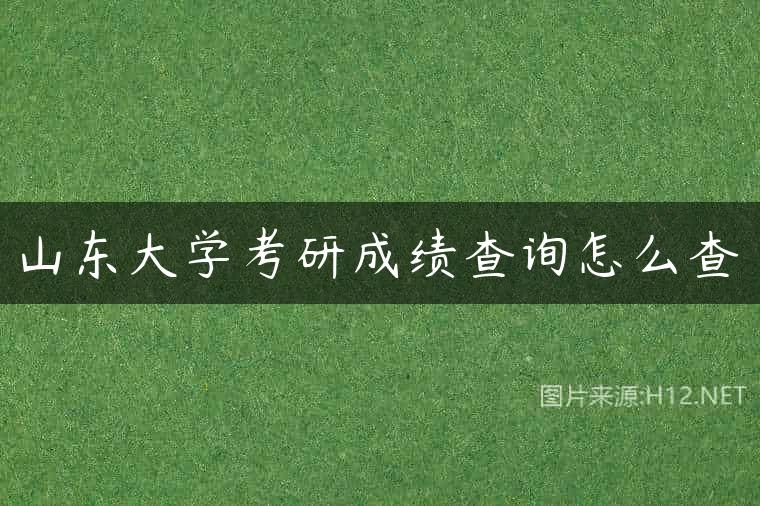 山东大学考研成绩查询怎么查