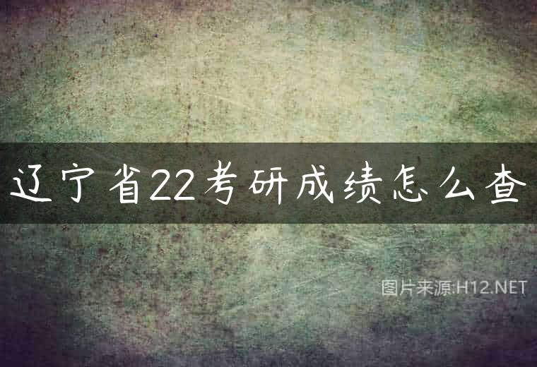 辽宁省22考研成绩怎么查