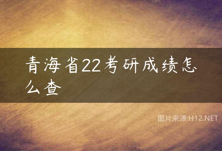 青海省22考研成绩怎么查