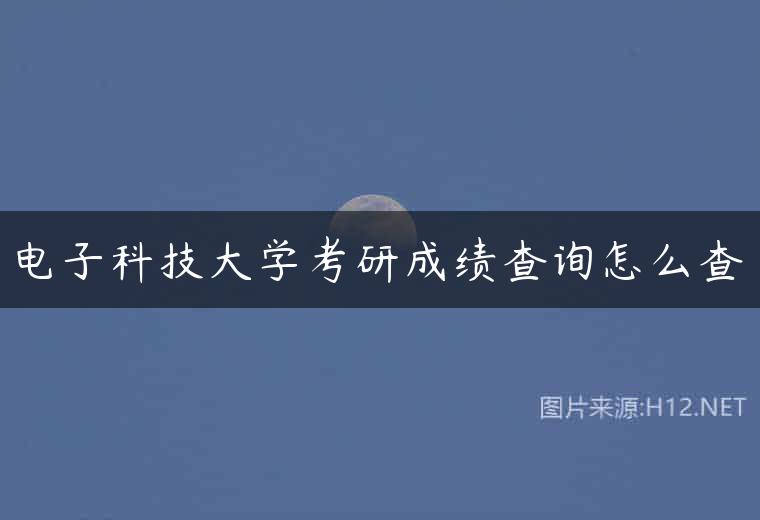 电子科技大学考研成绩查询怎么查